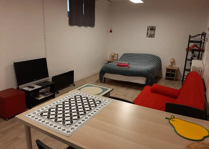 35m2 Terrasse Et Jardin Quartier Calme Au Centre De Appartement