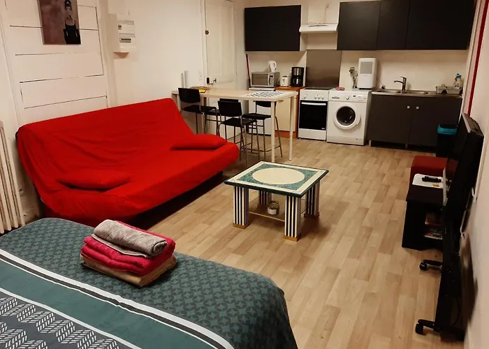 Appartement 35m2 Quartier Calme Jardin Terrasse Salle De Sport&grill Au Centre De