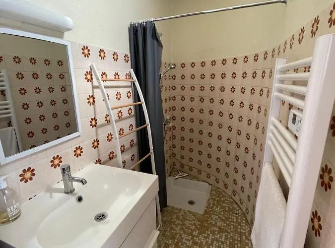 35m2 Terrasse Et Jardin Quartier Calme Au Centre De * Lourdes